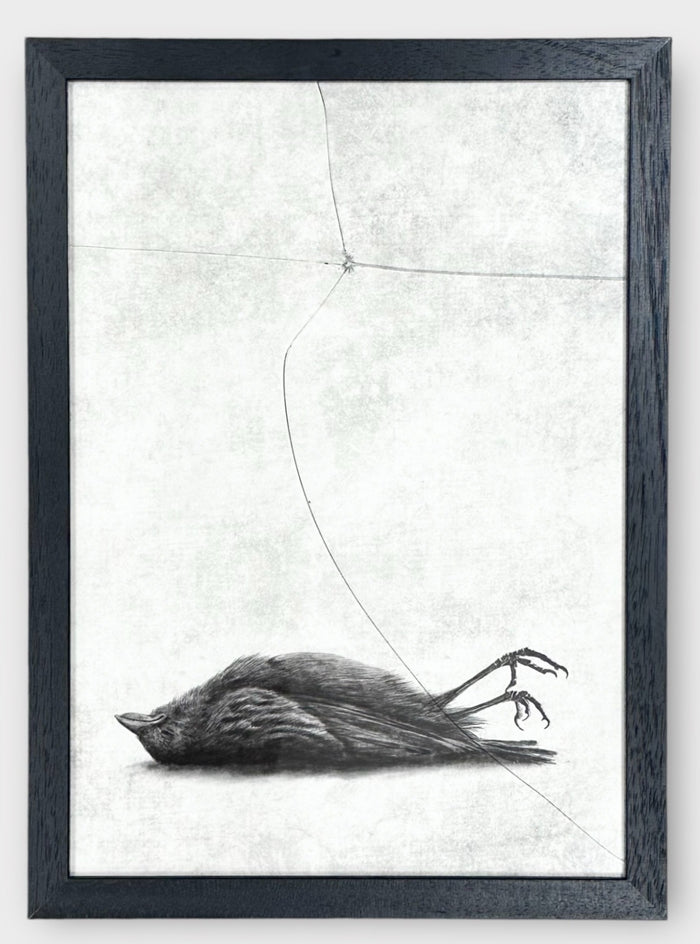 Andrew Scott, The Window, 2024