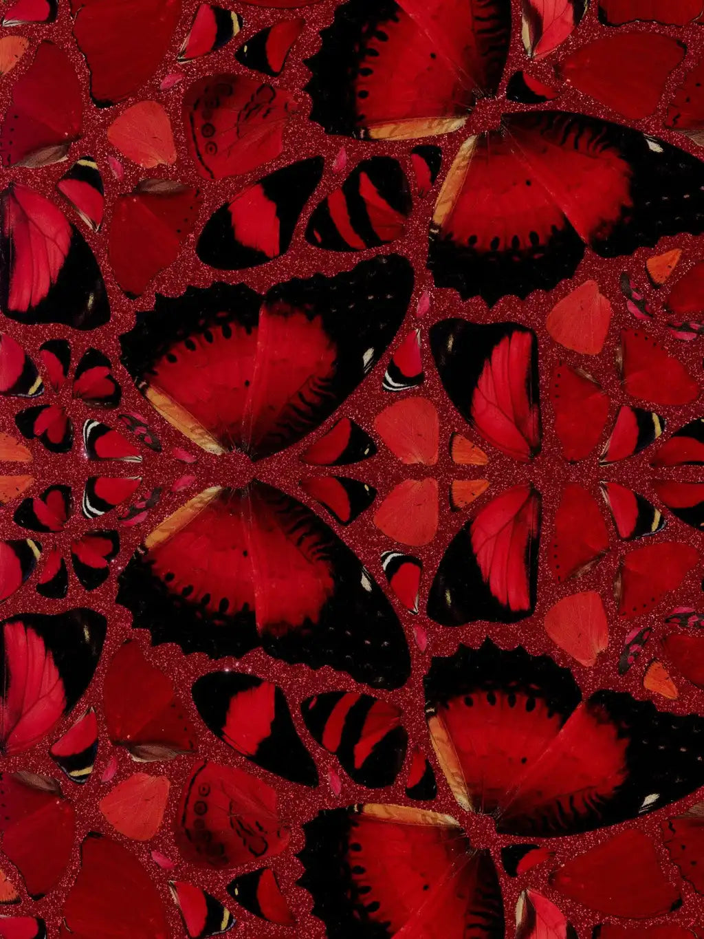 Nūr Jahān - H10-2 - Smolensky Gallery