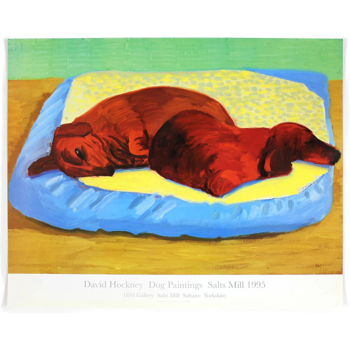 David Hockney, Dog 43, 1995