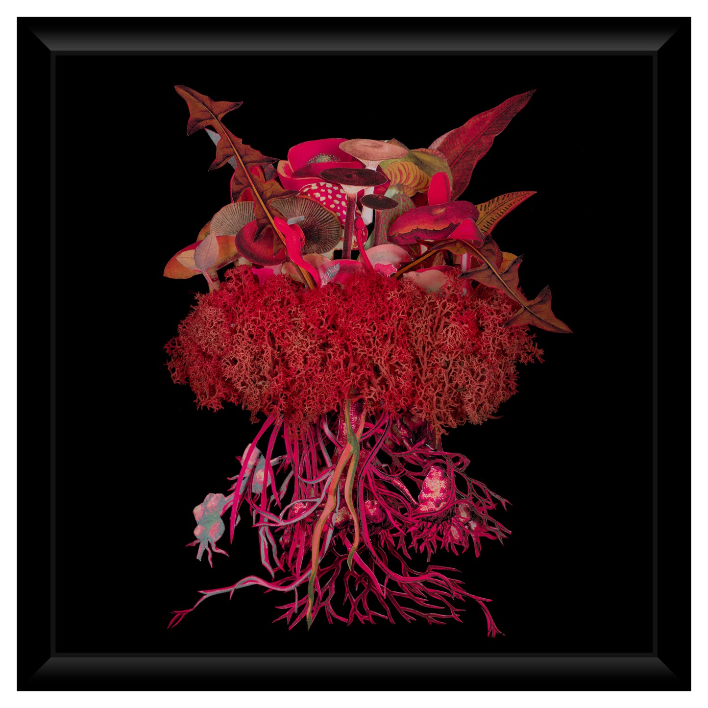 Jana Nicole, Fabulous Fungi: Sunbathed - Smolensky Gallery
