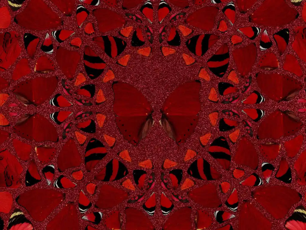 Nūr Jahān - H10-2 - Smolensky Gallery