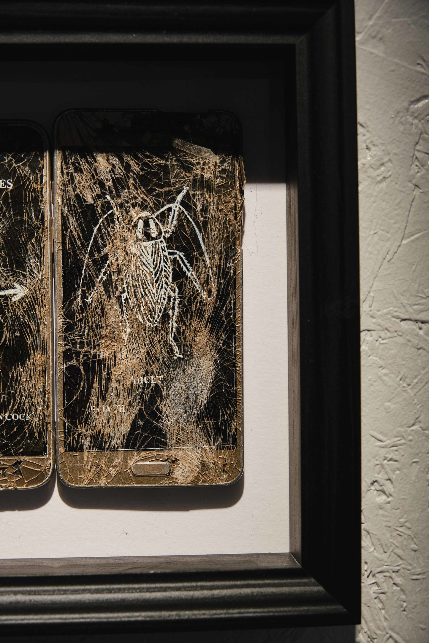 Morys Davies, Cockroach, 2023 - Smolensky Gallery