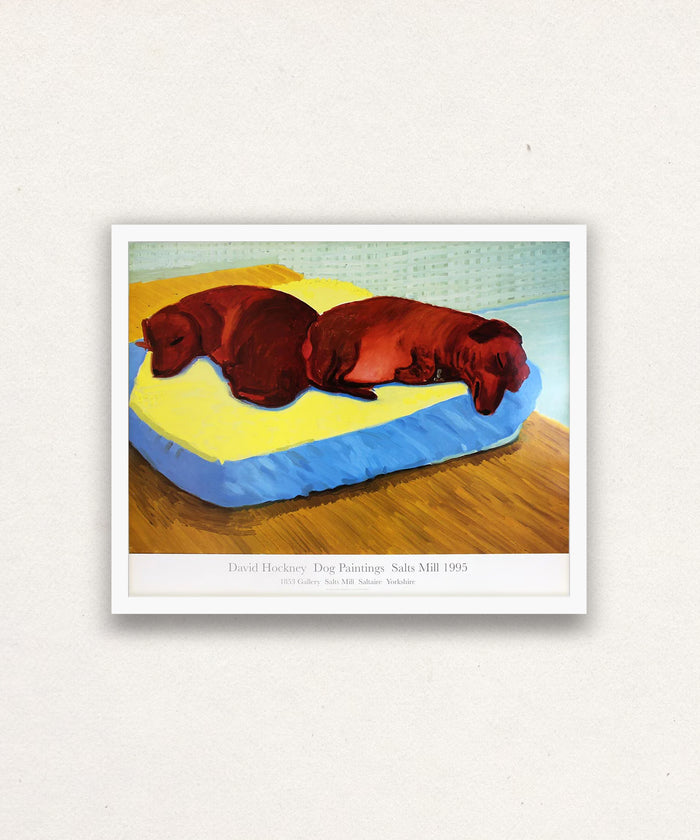 David Hockney, Dog 38, 1995