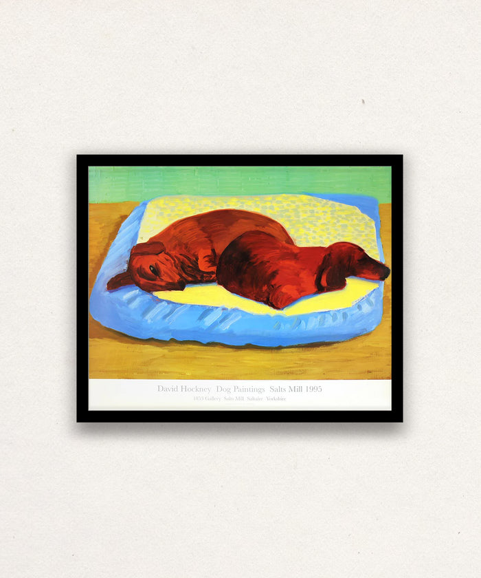 David Hockney, Dog 43, 1995