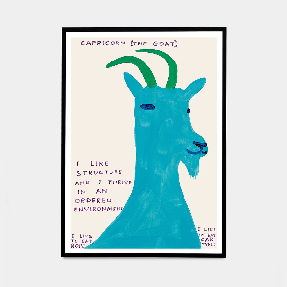 David Shrigley, Signs Of The Zodiac - Capricorn, 2024 contemporary art for sale from Smolensky Gallery