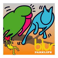 TBOY, Park Life edition 2, art for sale from smolensky gallery