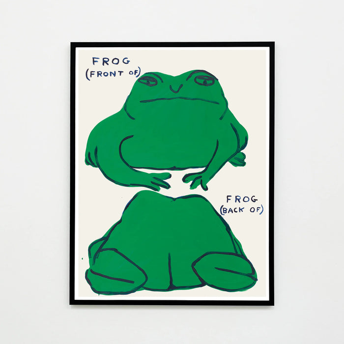 photo of a framed david shrigley art print featuring images of the front and back of a cartoonishly painted frog, with the words 'FROG (FRONT OF) FROG (BACK OF)'. Buy David Shrigley, David Shrigley Prints, David Shrigley art, David Shrigley poster, david shrigley art prints
