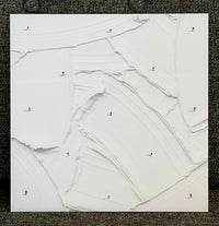 Werner Bronkhorst, Snowflakes