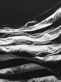 Untitled (Falling Flag) (2025) Robert Longo