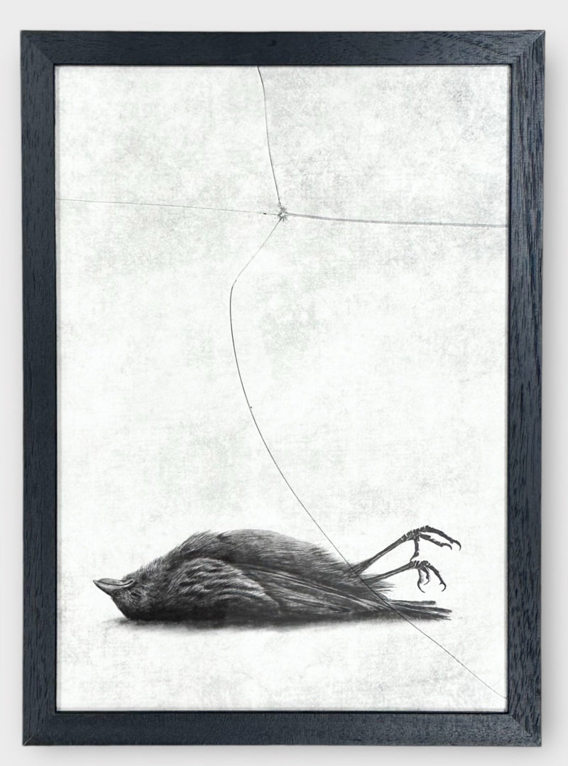 Andrew Scott, The Window, 2024