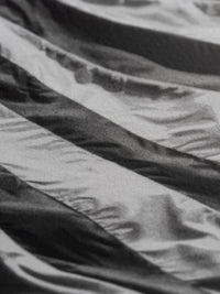 Untitled (Falling Flag) (2025) Robert Longo
