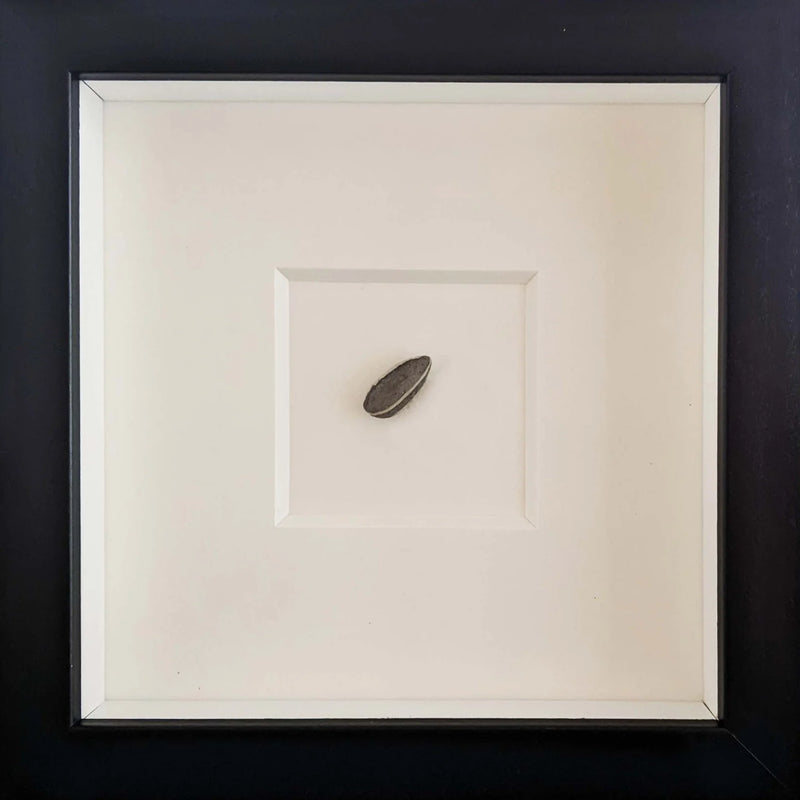 Ai Weiwei, Sunflower Seed, 2010