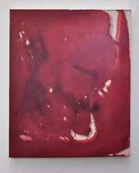 Aimee Parrott, Untitled, 2013