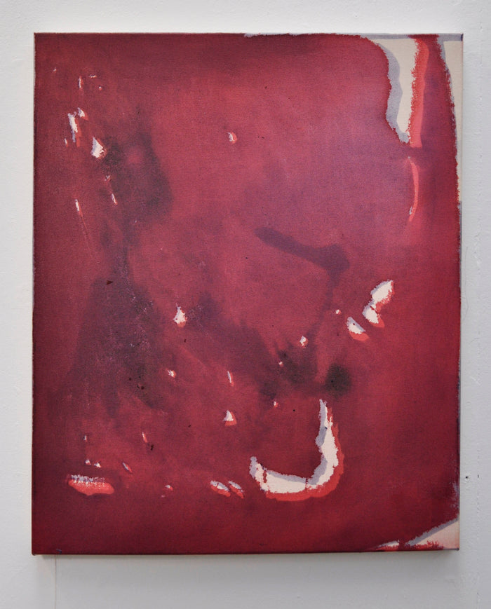 Aimee Parrott, Untitled, 2013