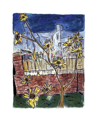 Bob Dylan, The Blank Series Set of 10