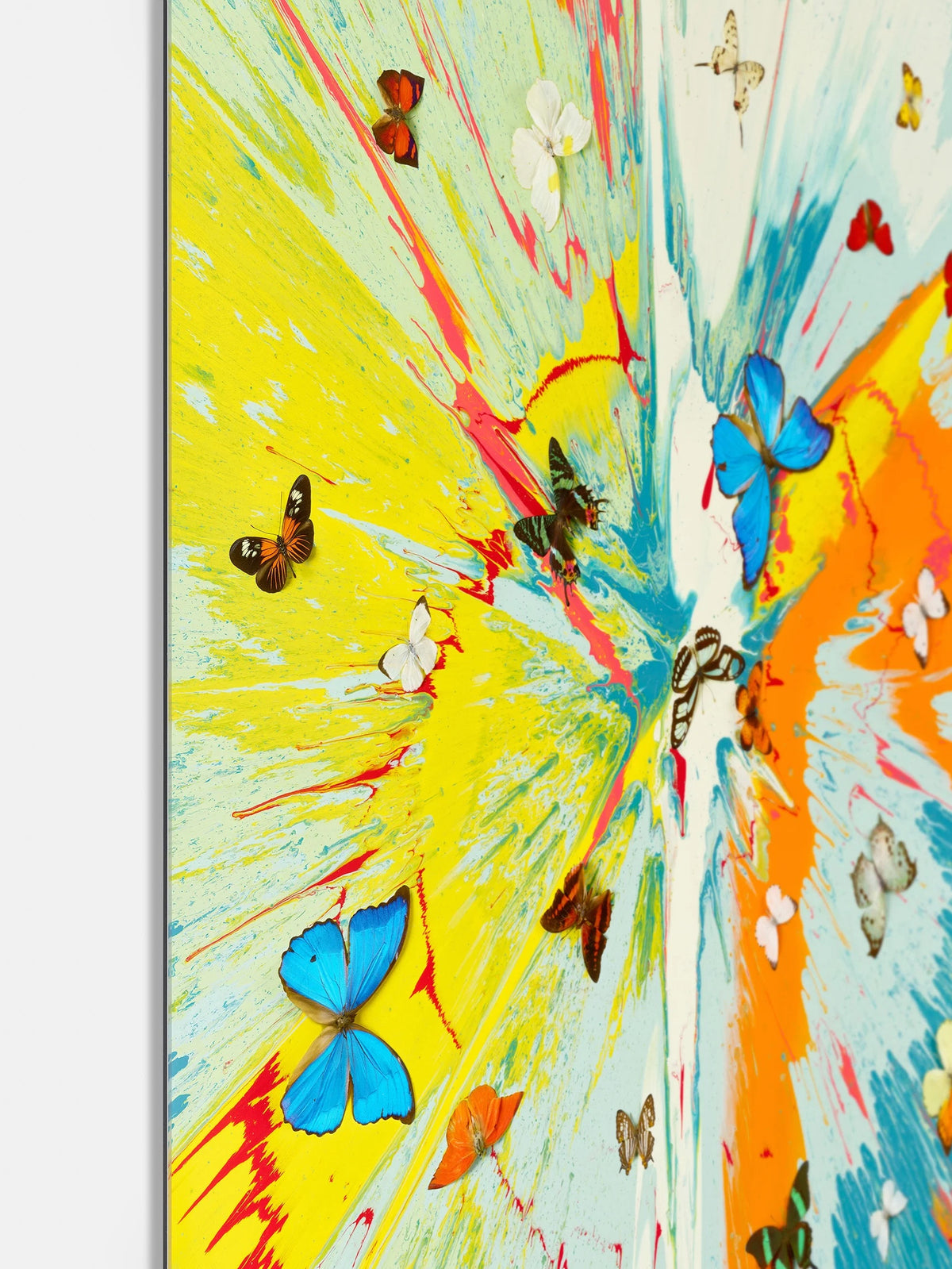 Damien Hirst, Transient Ephemera, 2025