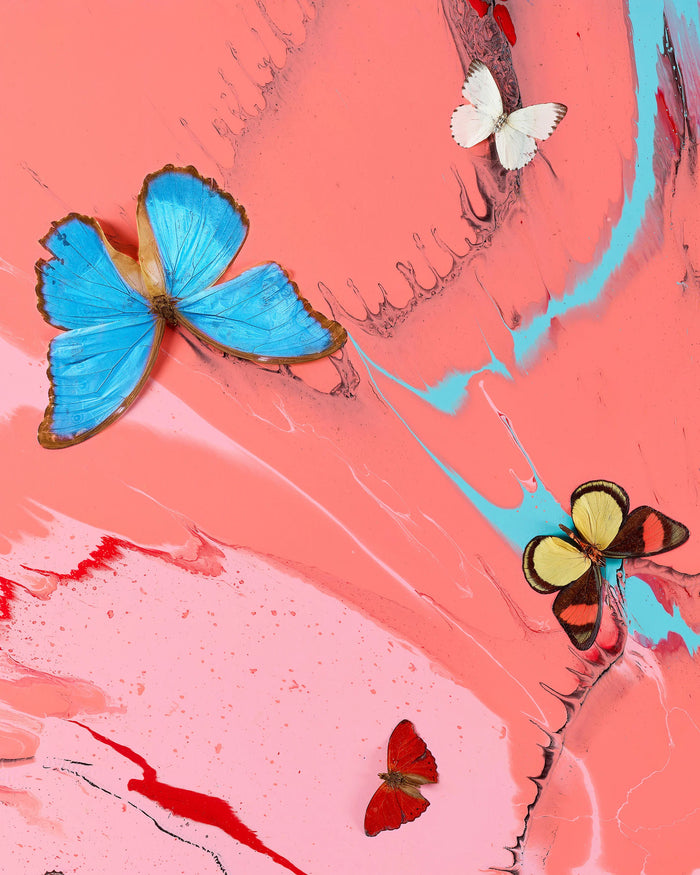 Damien Hirst's abstract painting features swirling coral-pink, aqua, and red brushstrokes, overlaid with four butterfly specimens in blue, white, yellow-and-black, and red. The work is called Angelic Seraph, from Damien Hirst’s celebrated The Dreams series