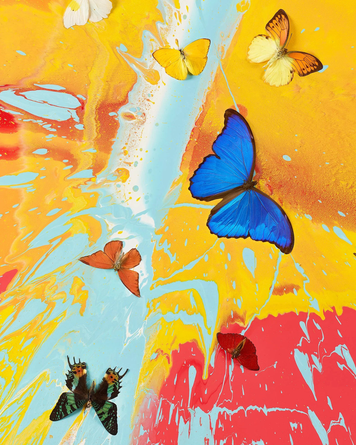 Damien Hirst, Aurora Dawn, 2025