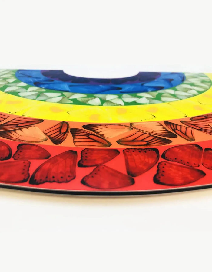 Damien Hirst, Butterfly Rainbow (Small), 2020, art for sale from Smolensky Gallery 