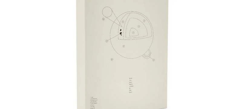 Damien Hirst & Michael Joo, Have You Ever Really Looked At The Sun?, 2010