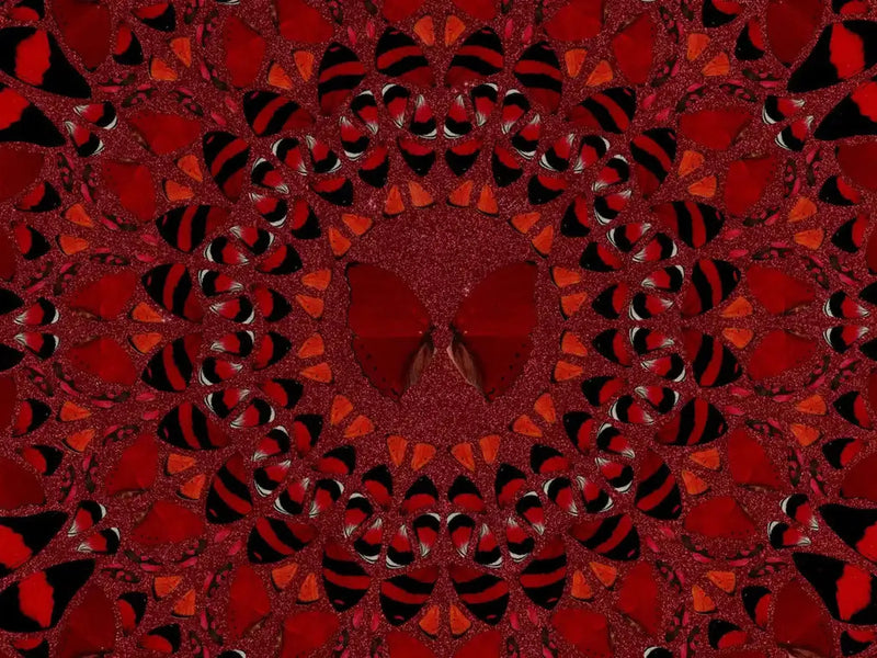 Damien Hirst, Suiko - H10-4, 2022, limited print for sale from Smolensky Gallery