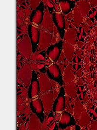 Damien Hirst, Suiko - H10-4, 2022, limited print for sale from Smolensky Gallery