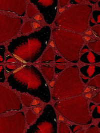 Damien Hirst, Suiko - H10-4, 2022, limited print for sale from Smolensky Gallery