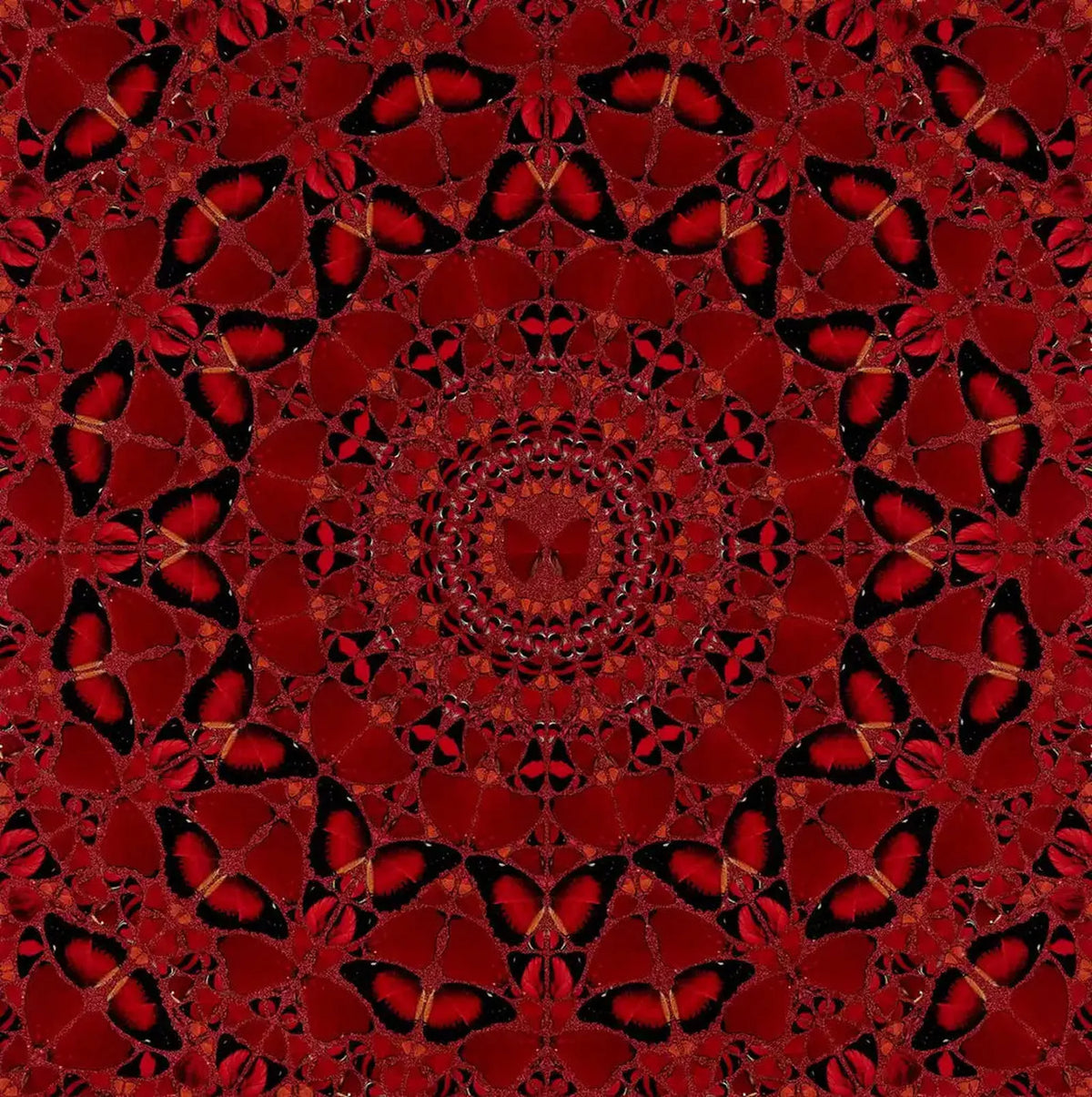Damien Hirst, Suiko - H10-4, 2022, limited print for sale from Smolensky Gallery