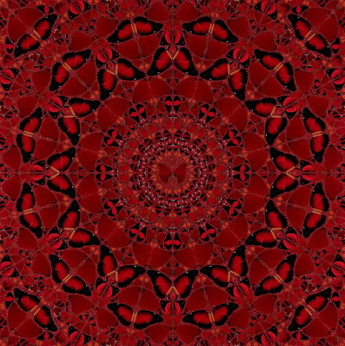 Damien Hirst, Suiko - H10-4, 2022, limited print for sale from Smolensky Gallery