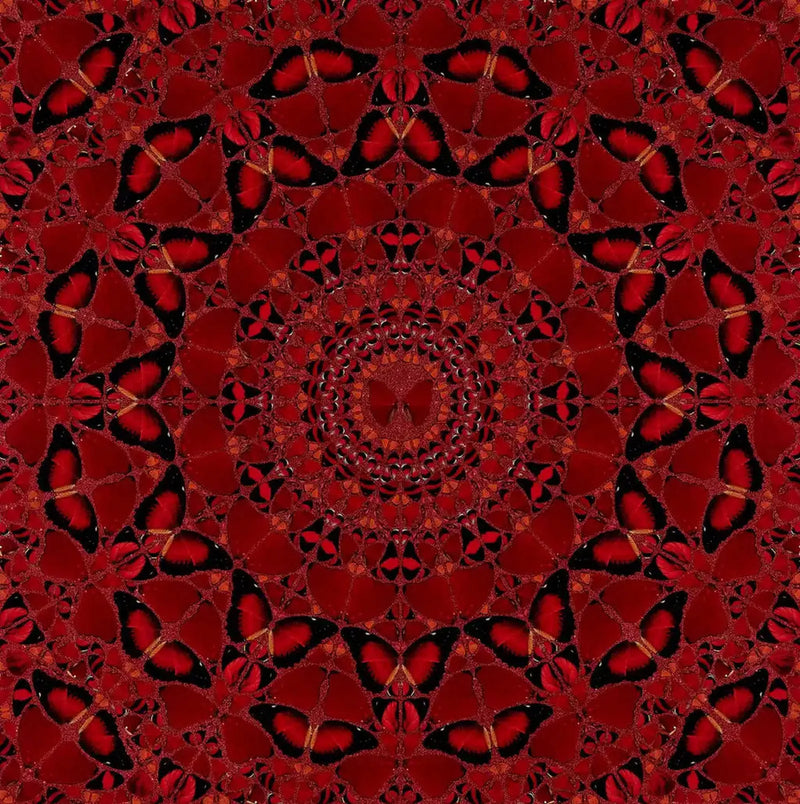 Damien Hirst, Suiko - H10-4, 2022, limited print for sale from Smolensky Gallery