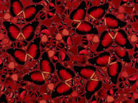 Damien Hirst, Taytu Betel - H10-5, 2022, limited print for sale from Smolensky Gallery