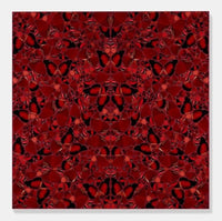 Damien Hirst, The Empresses Full Set of 5 (2022), limited print for sale from Smolensky Gallery