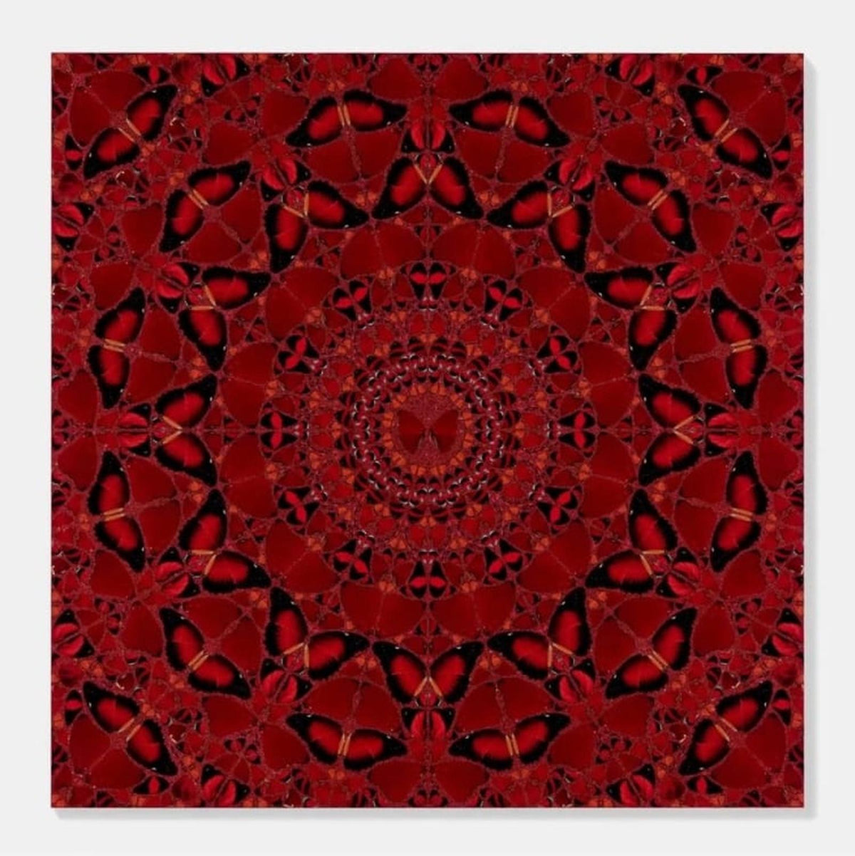 Damien Hirst, The Empresses Full Set of 5 (2022), limited print for sale from Smolensky Gallery