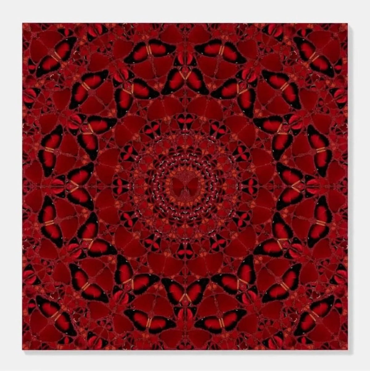 Damien Hirst, The Empresses Full Set of 5 (2022), limited print for sale from Smolensky Gallery