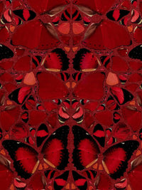 Damien Hirst, Theodora - H10-3, 2022, limited print for sale from Smolensky Gallery