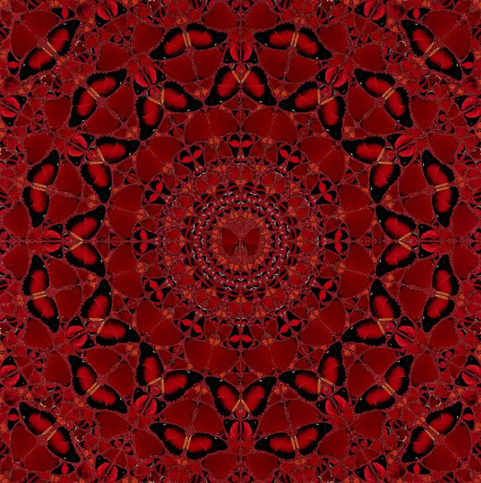 Damien Hirst, Suiko - H10-4, 2022, limited print for sale from Smolensky Gallery