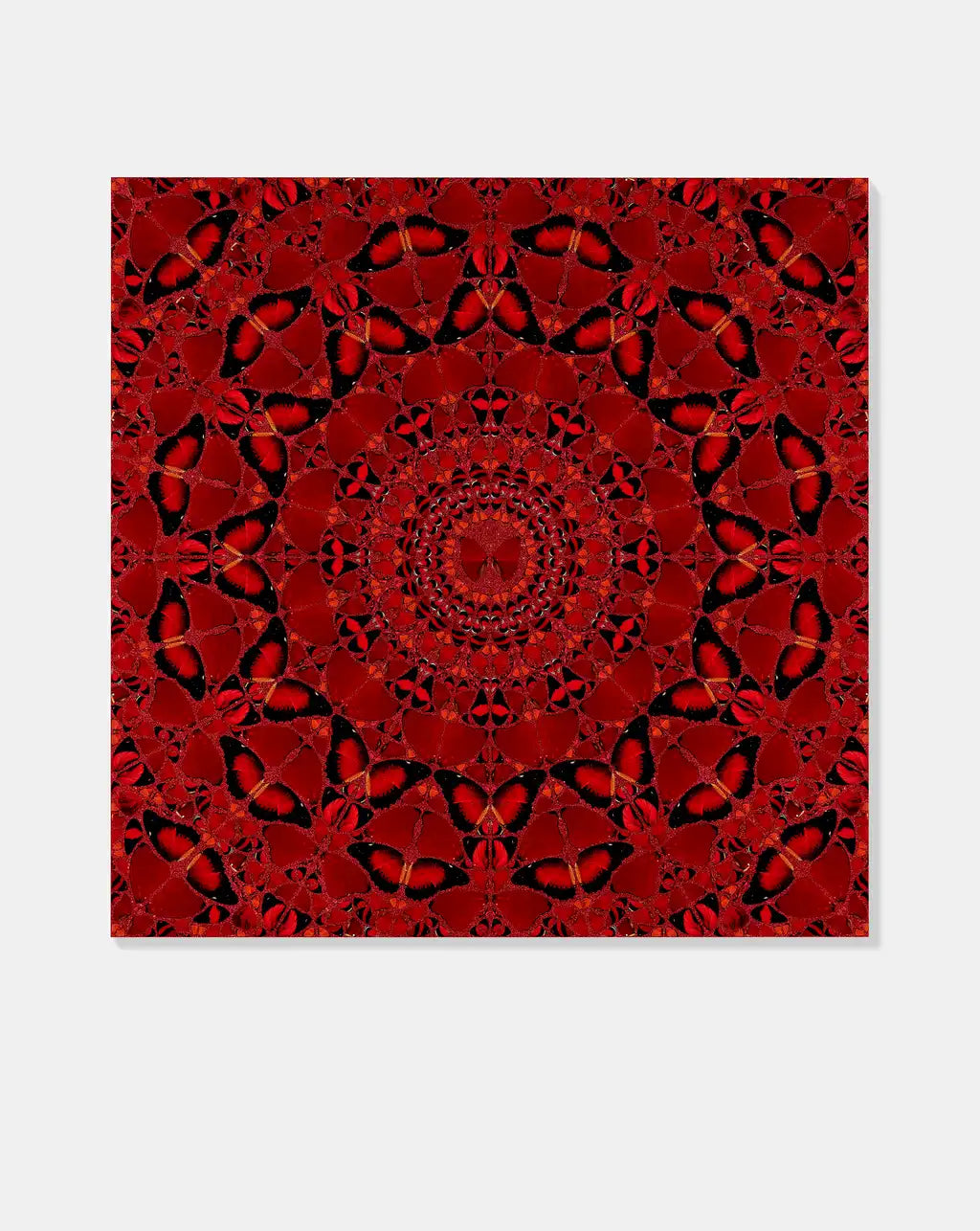 Suiko - H10-4 - Smolensky Gallery
