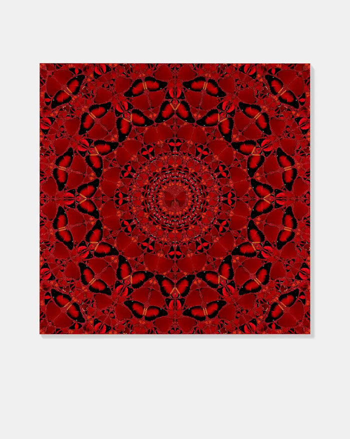 Damien Hirst, Suiko - H10-4, 2022, limited print for sale from Smolensky Gallery