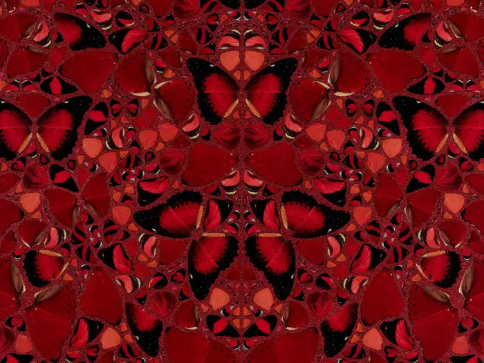 Damien Hirst, Theodora - H10-3, 2022, limited print for sale from Smolensky Gallery