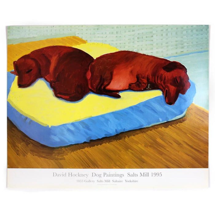 David Hockney, Dog 38, 1995