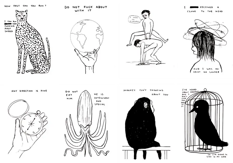 David Shrigley, Animals & Existentialism and Human Behaviour (set of 8), 2022 art for sale from Smolensky Gallery