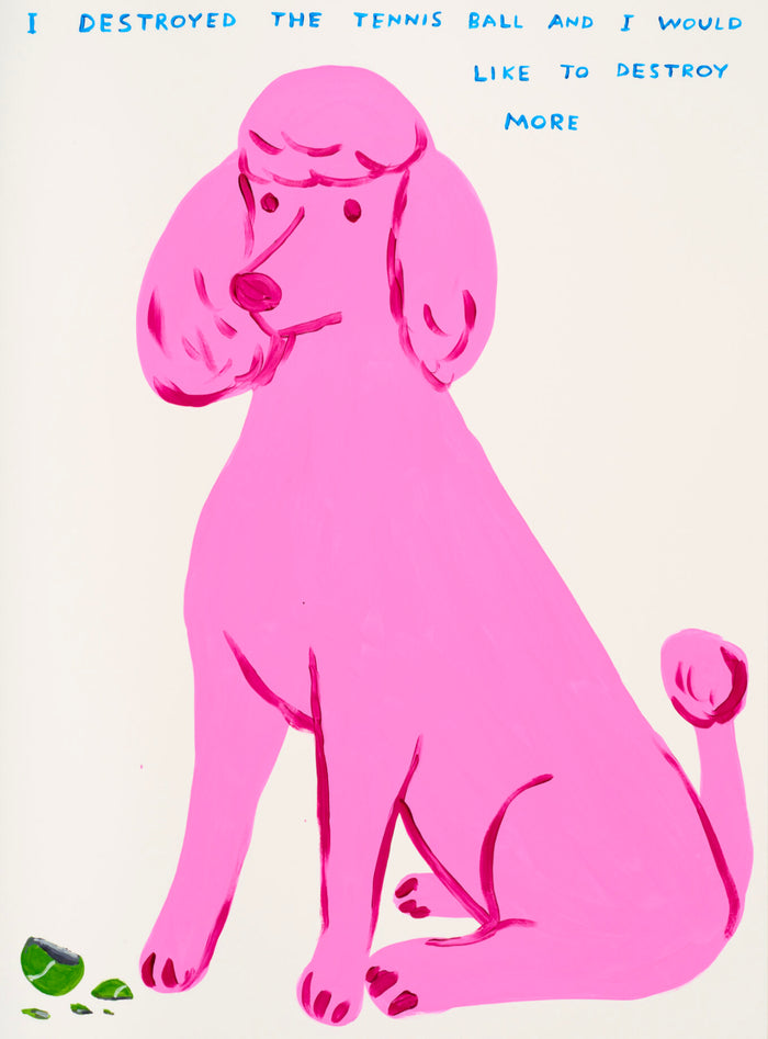 David Shrigley, I Destroyed the Tennis Ball, 2021