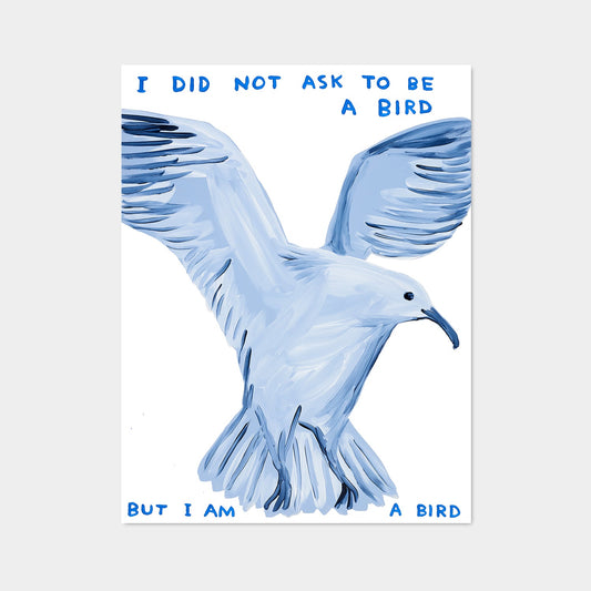 David Shrigley, I Did Not Ask To Be A Bird, 2021