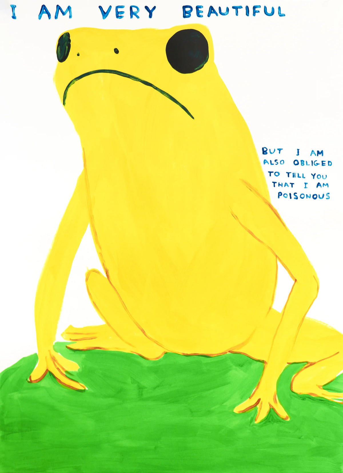 David Shrigley, I am Very Beautiful, 2025