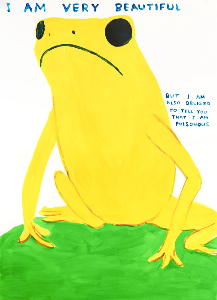 David Shrigley, I am Very Beautiful, 2025