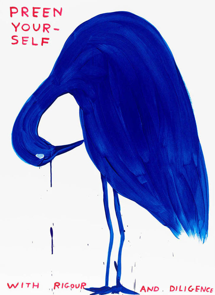 David Shrigley, Preen Yourself with Rigour and Diligence, 2023
