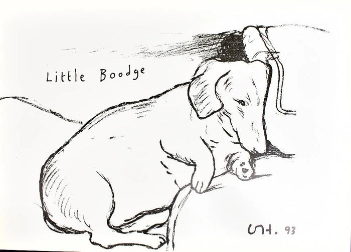 David Hockney, Little Boodge, 1993 for sale from Smolensky Gallery