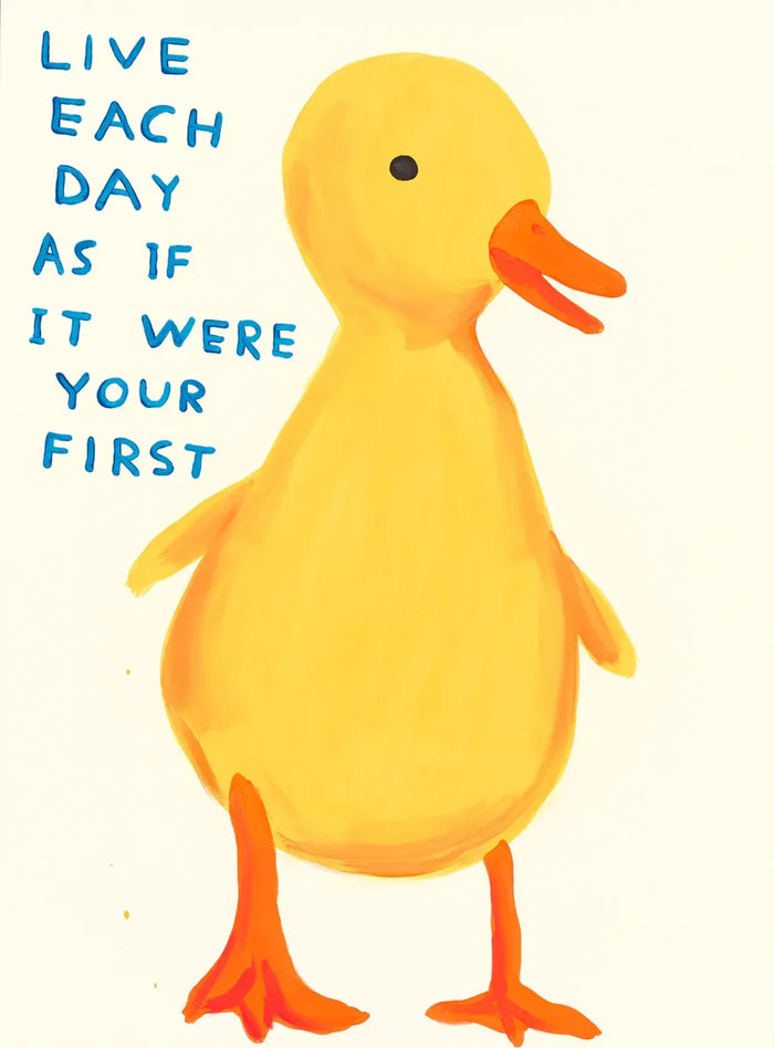 David Shrigley, Live Each Day As If It Were Your First, 2022