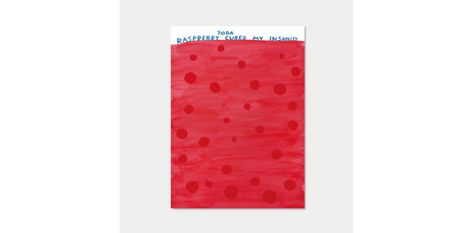 David Shrigley, Raspberry Soda Cured My Insanity, 2022 - Smolensky Gallery