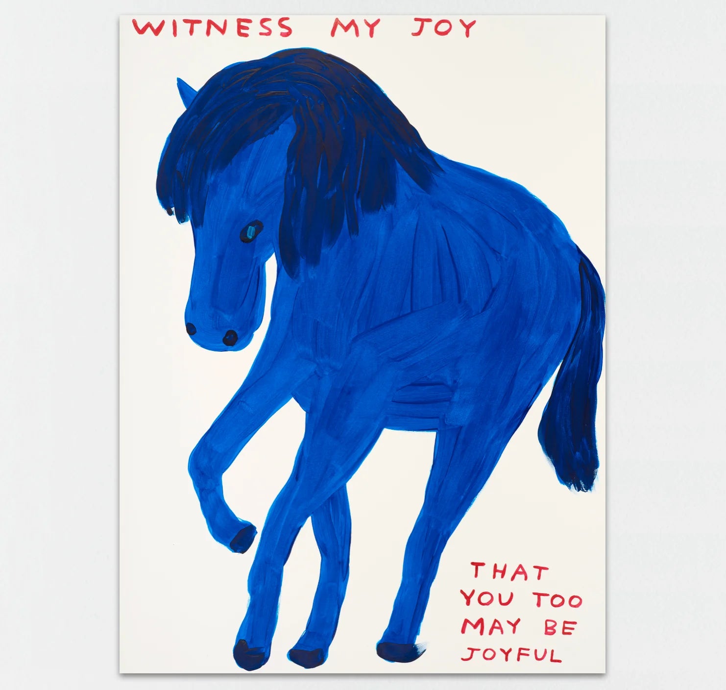 David Shrigley, Witness my joy, 2022 - Smolensky Gallery